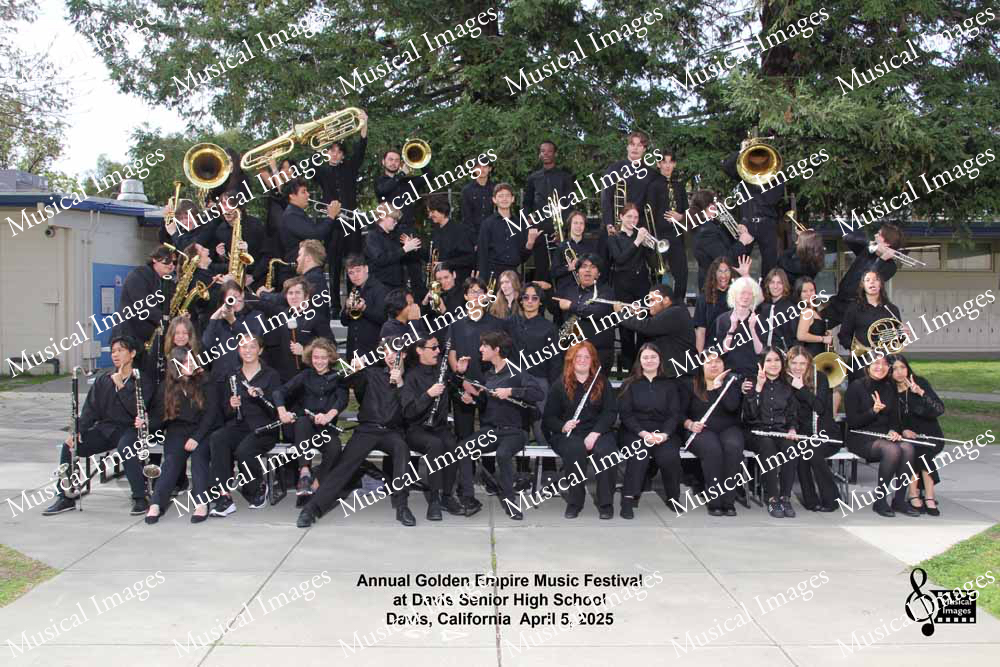 Musical Images